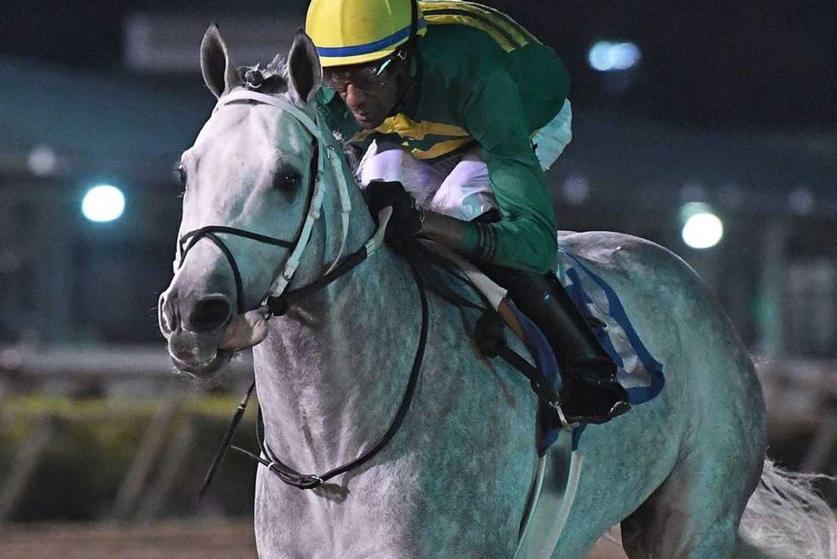 Sam Houston Race Park selections for Friday, Jan. 17