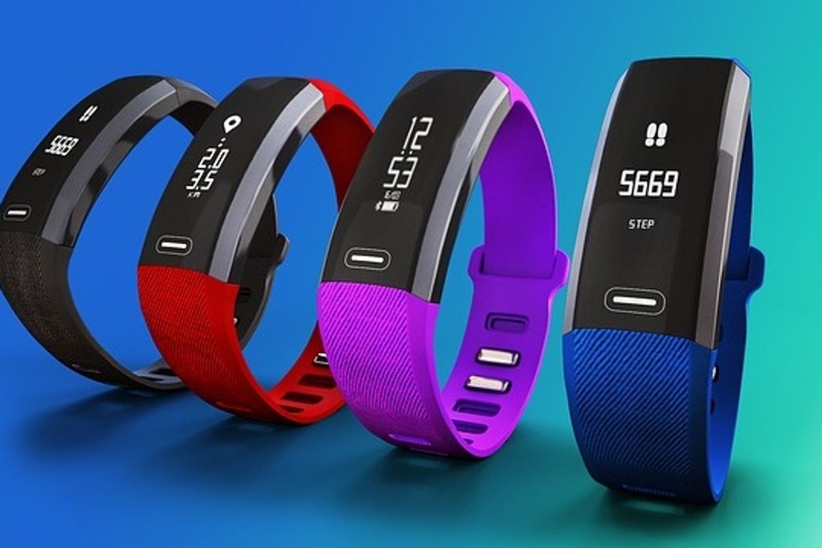 FitBit or WHOOP? Which will it be?