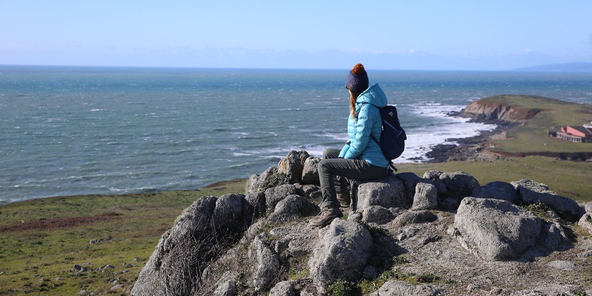 whale watching top spots bay area outdoors mendocino coast - 7x7 Bay Area