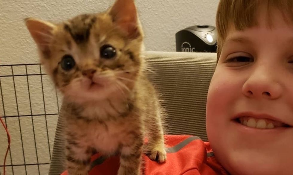 Pint-sized Kitten So Happy to Have Shoulder to Sit on After He Was