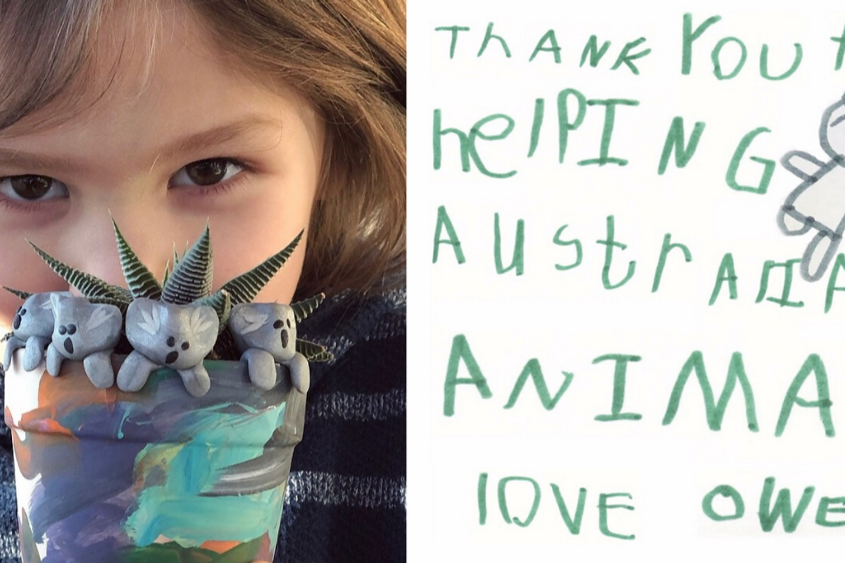 A 6-year-old has raised more than $260,000 for Australian wildlife selling his handmade clay koalas