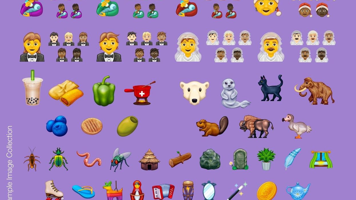 This year's new emojis were announced this week, and we still don't have a biscuit emoji