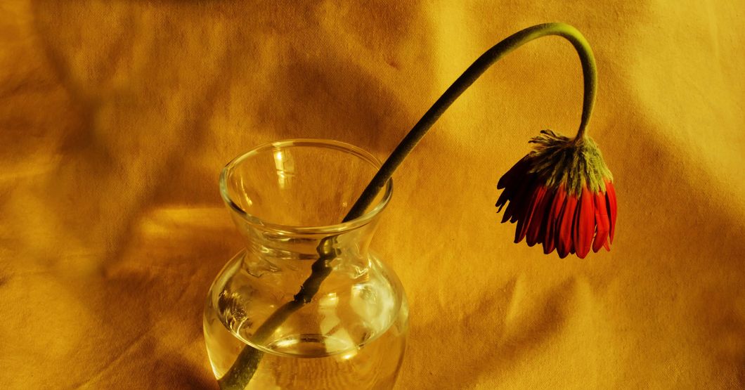 5 Infamous Patrice O'Neal Quotes Women Need To Know