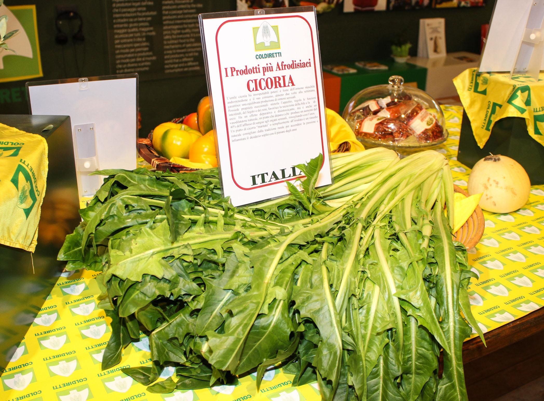 Amor di Cicoria. Le dolcissime virtù di quest’erba dall’inconfondibile sapore amaro