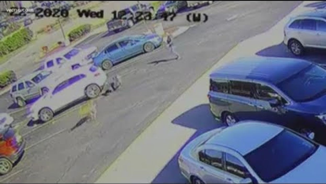 Stunning video shows deer trample North Carolina man in McDonald's parking lot