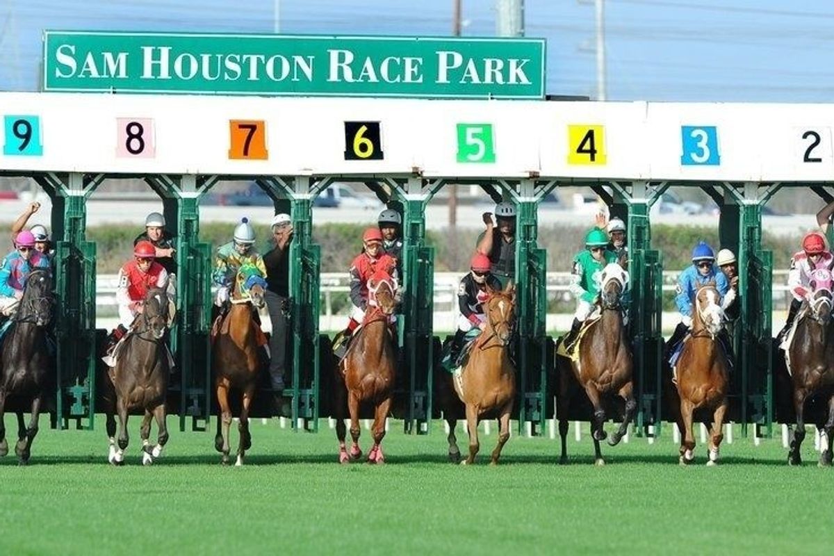 Horses leave the gate at Sam Houston Race Park