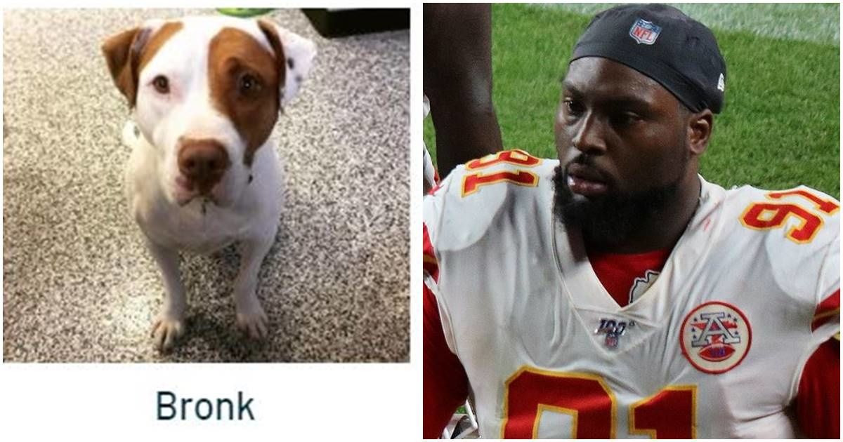 Chiefs player celebrates Super Bowl victory by paying adoption fees for over 100 shelter dogs