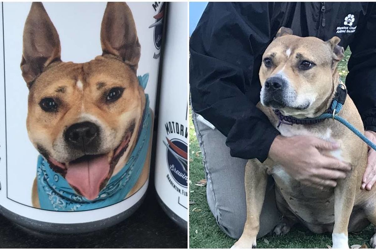 Woman miraculously finds a dog lost three years ago after spotting it on a beer can