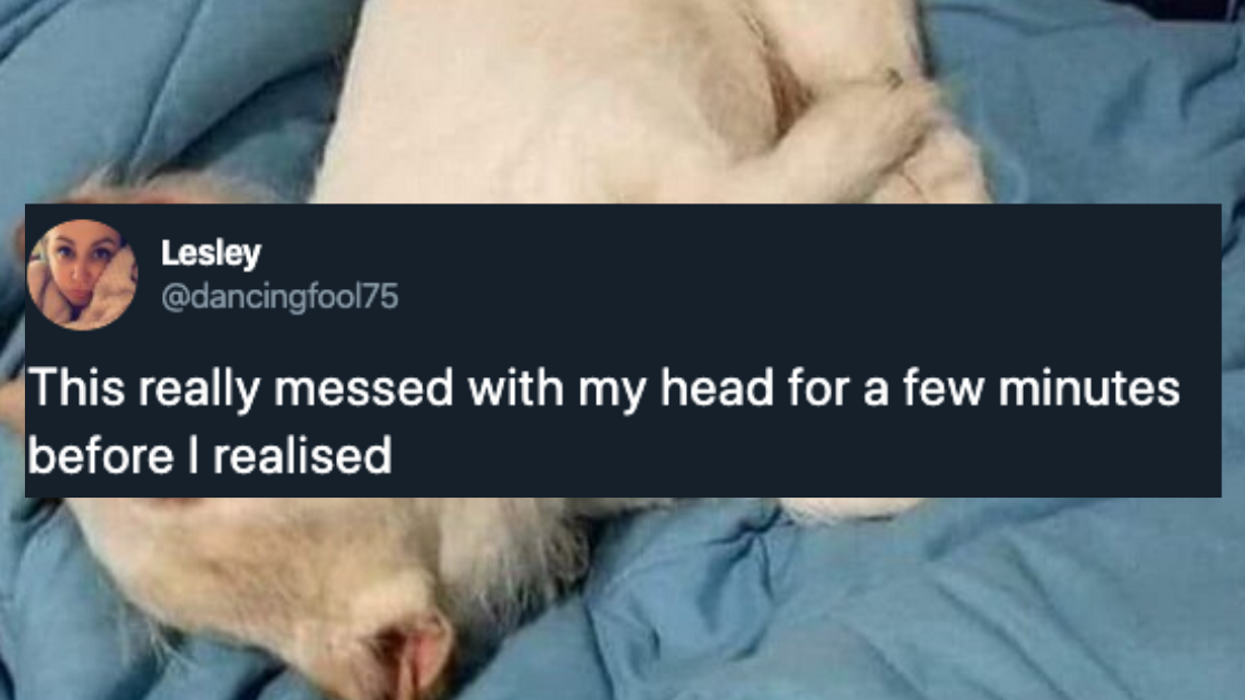This Picture Of A Dog Looking Like Some Kind Of Goat Monster Has People Doing A Double-Take