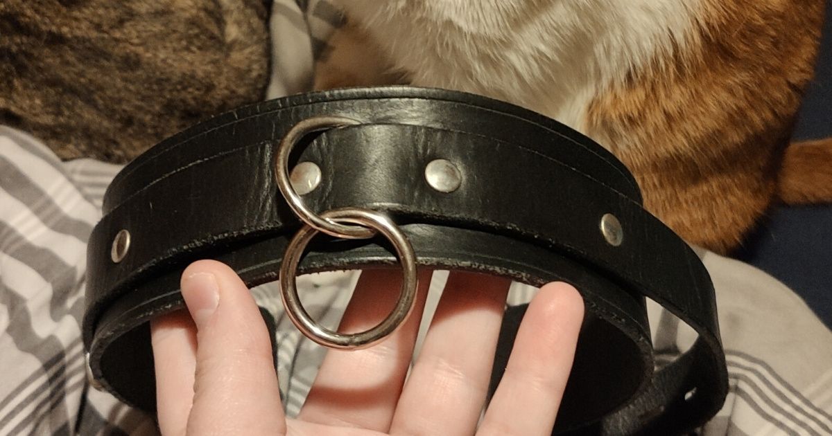 Woman Mortified After Some Work Colleagues Stopped By Her Home And She Forgot She Was Wearing A BDSM 'Collar'