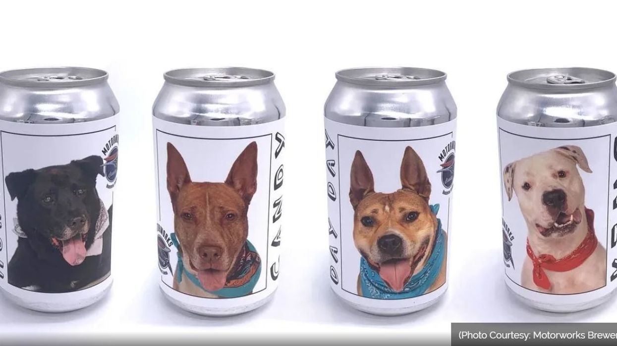 Minnesota woman to be reunited with long lost dog after spotting her on Florida brewery beer can