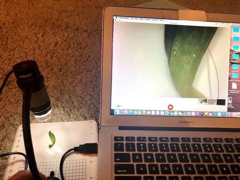 Coin Related plugable USB Digital Microscope Review 