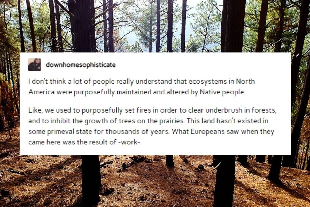 A viral reminder that Native people are the historical experts on sustainability