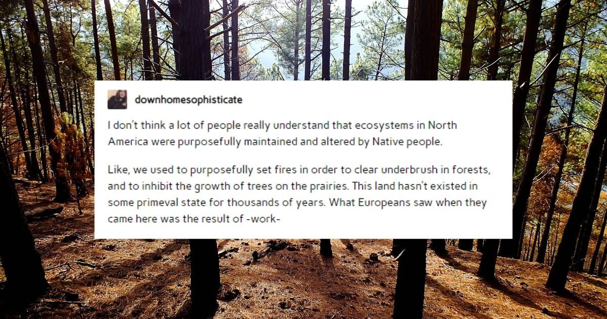 A viral reminder that Native people are the historical experts on sustainability