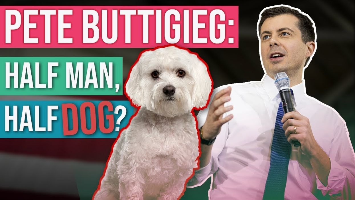 PETE BUTTIGIEG VS. JOE BIDEN VS. BERNIE SANDERS: 'Joementum' gone, and is Buttigieg part dog?!