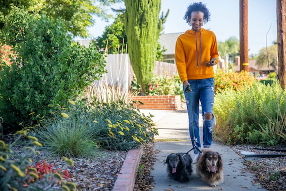 Young Woman Walking Dogs with Smartphone