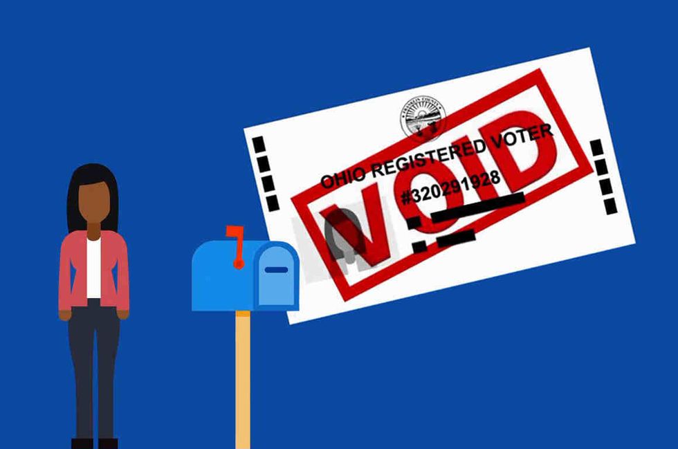 Voter registration purge