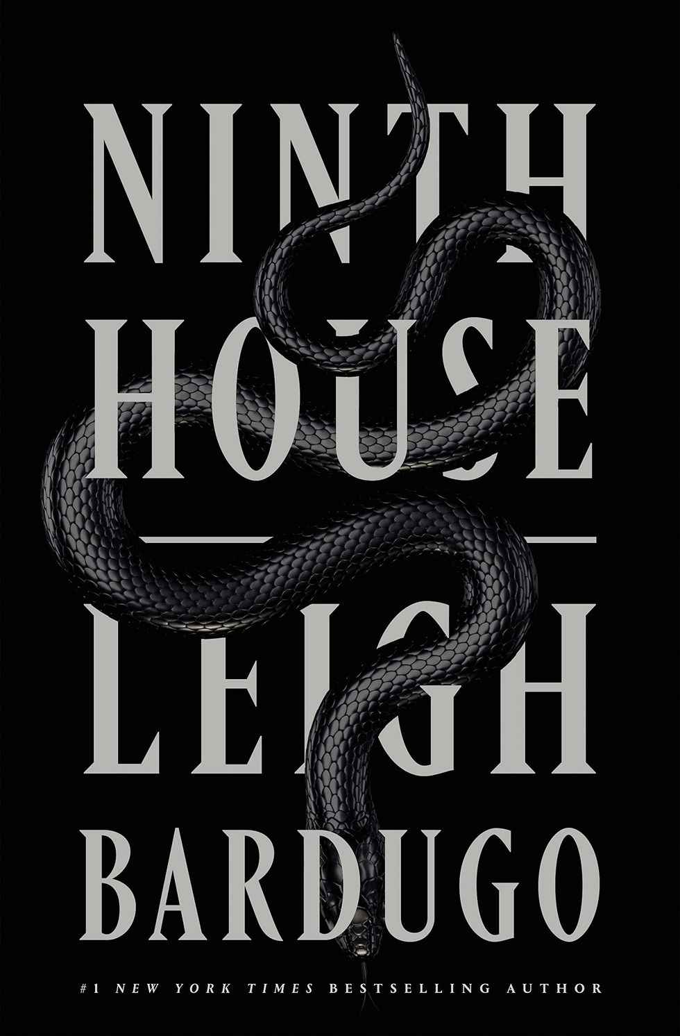 Ninth House Made Me Want to Scream - and Not In Fear
