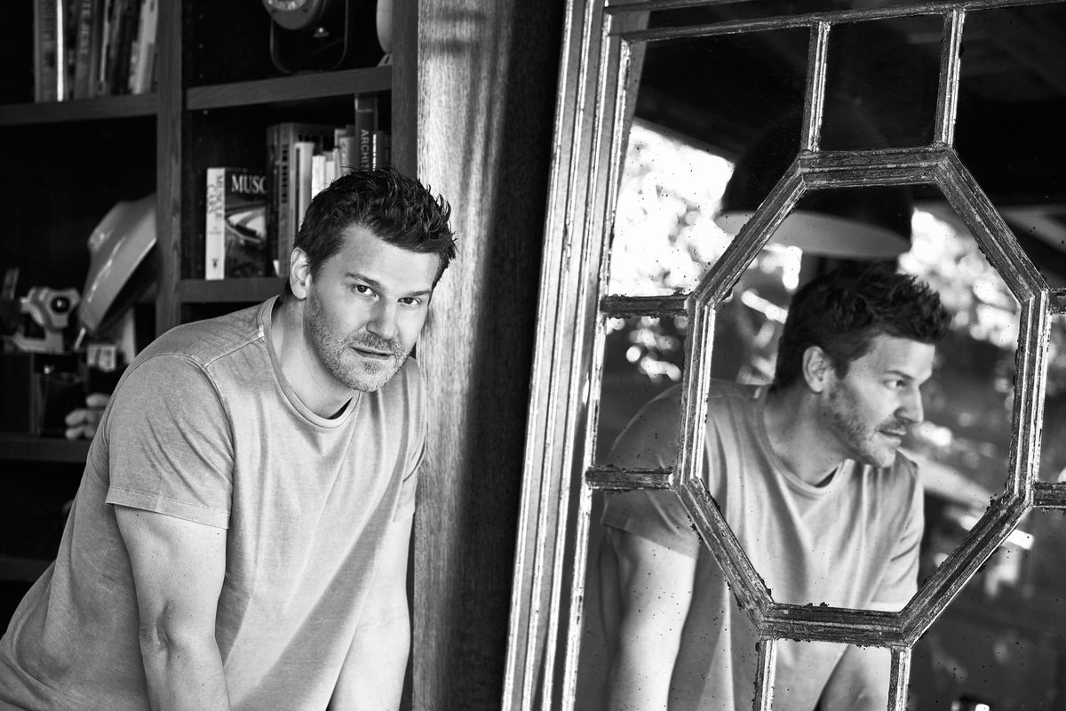 David Boreanaz of SEAL Team in t shirt next to mirror