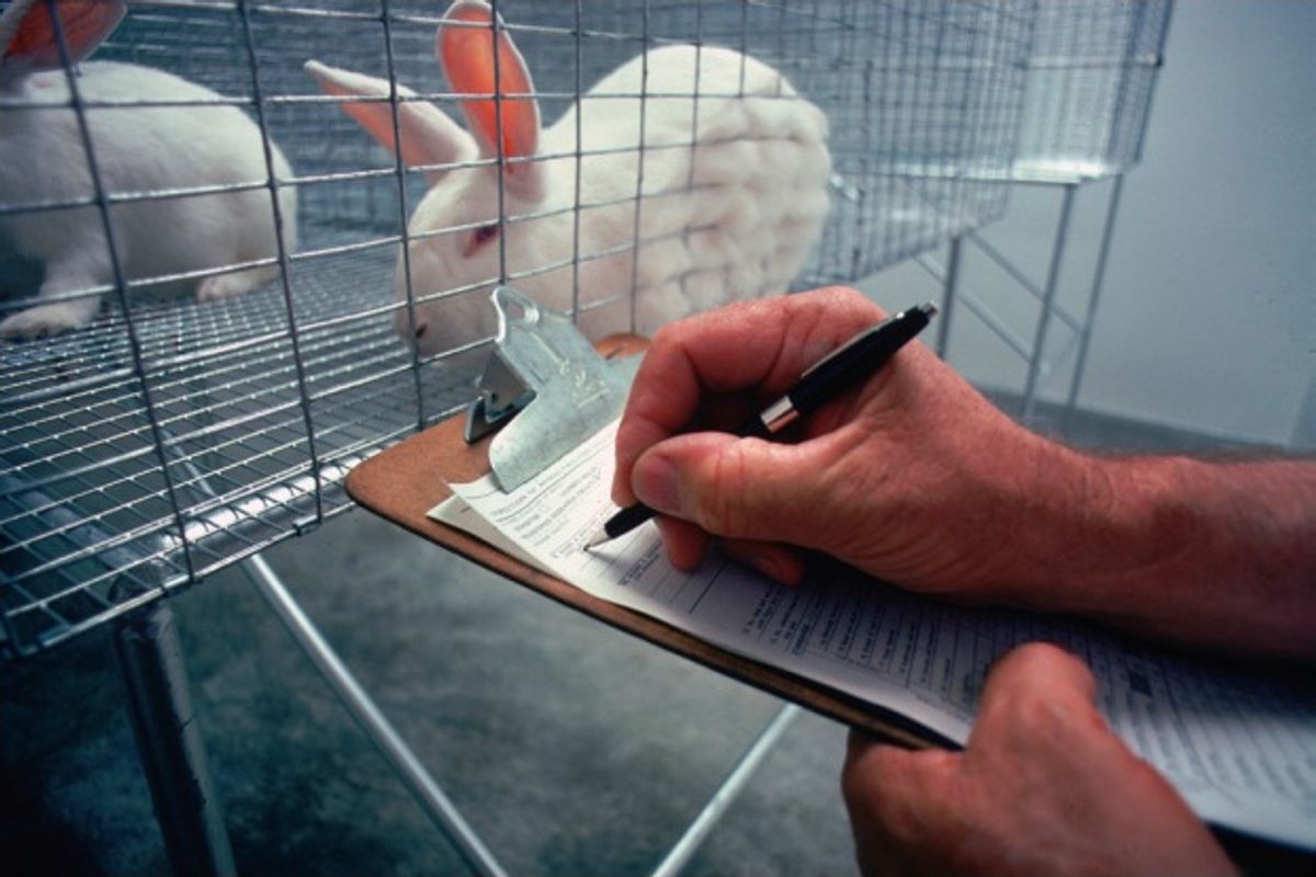 You can now adopt former FDA lab animals. And they make great pets, too.