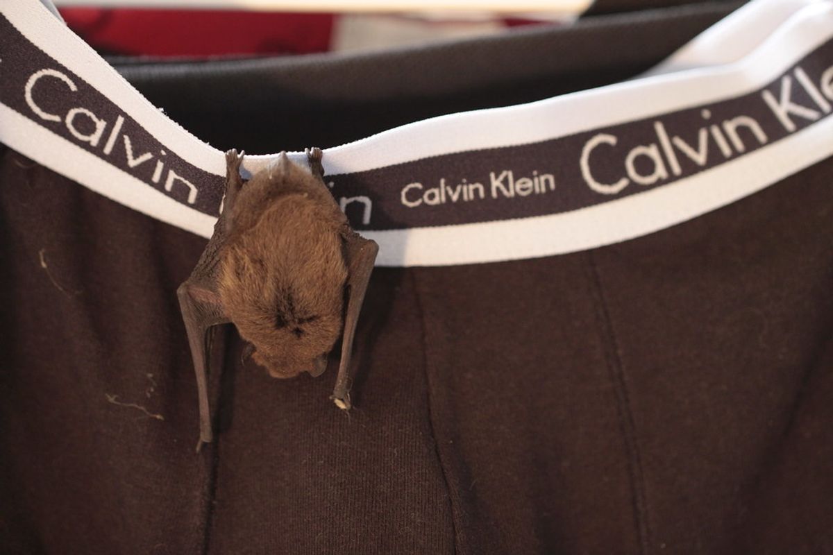 Underwear Mistakes You Didn't Know You Were Making! Tabs, Mon., Jan. 27, 2020