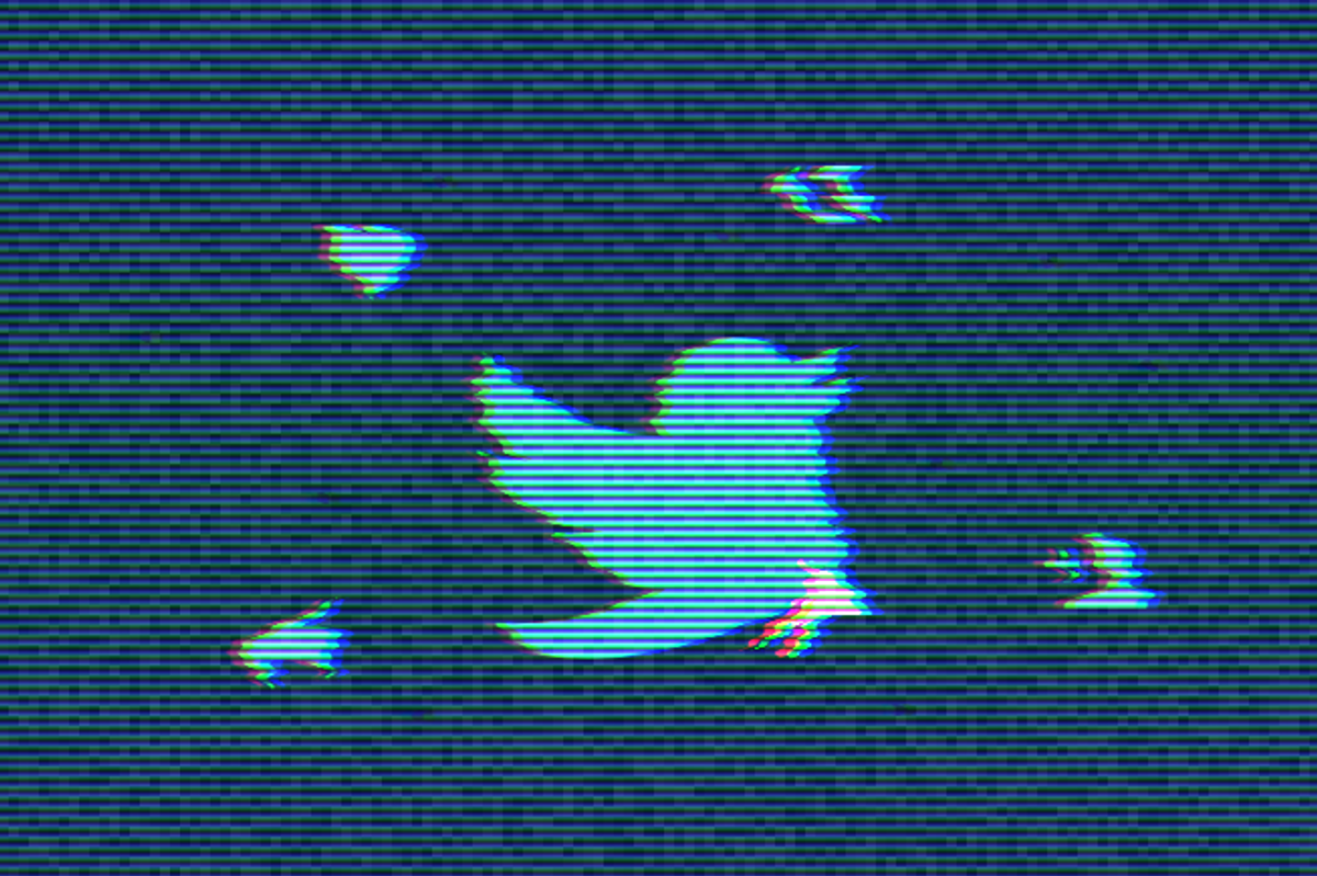 Twitter Distorted
