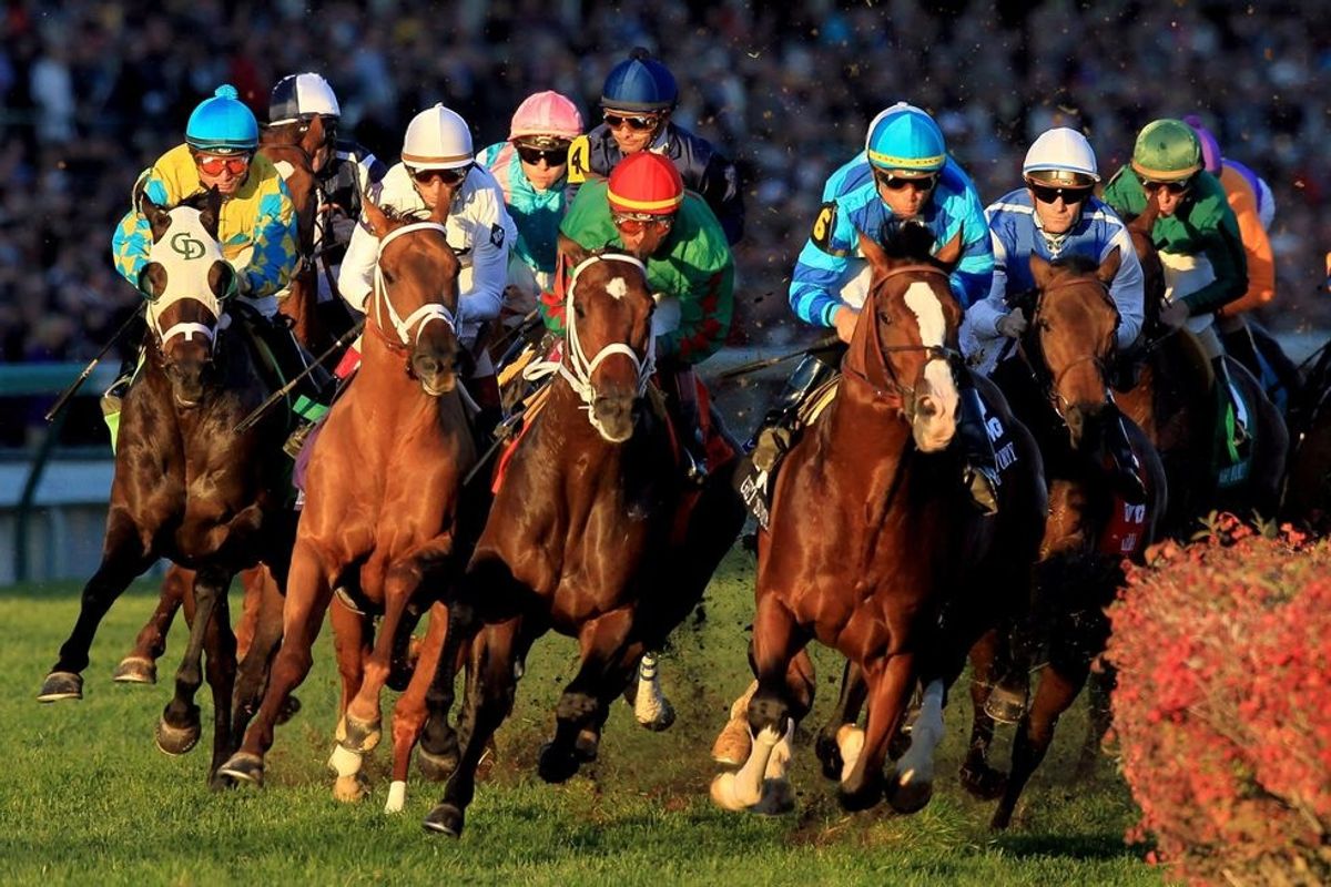 Horse racing