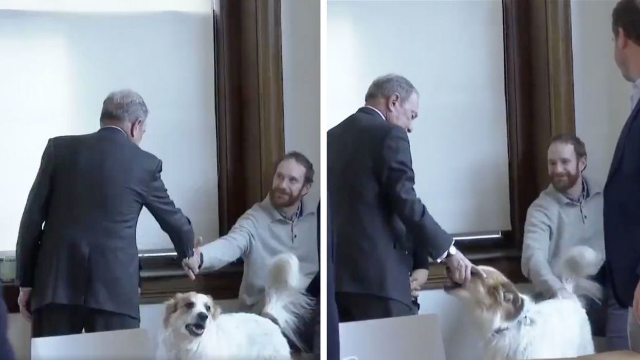 Michael Bloomberg Just Shook A Dog's Snout Like A Person's Hand, And People Are Divided Over It
