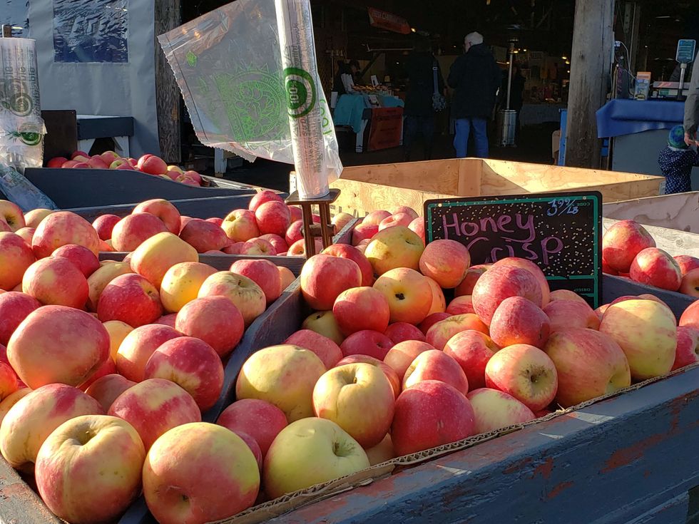 Honeycrisp Apples for sale at Olympia Farmers Market