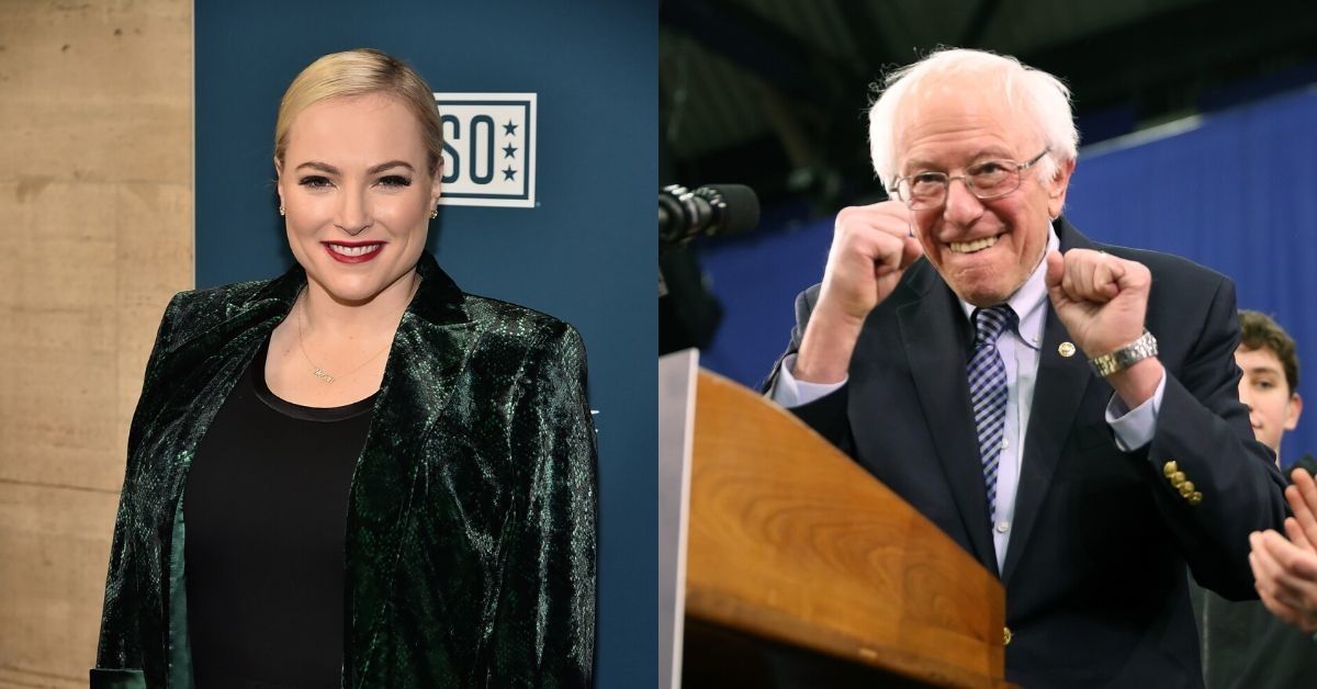 Meghan McCain Got The Ultimate Smackdown On Twitter After Questioning Democrats' Support Of Bernie Sanders