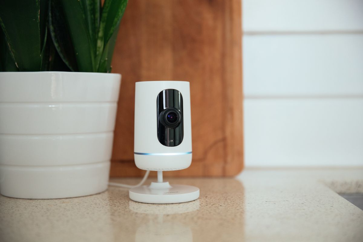 A Smart camera placed next to a potted plant on a countertop
