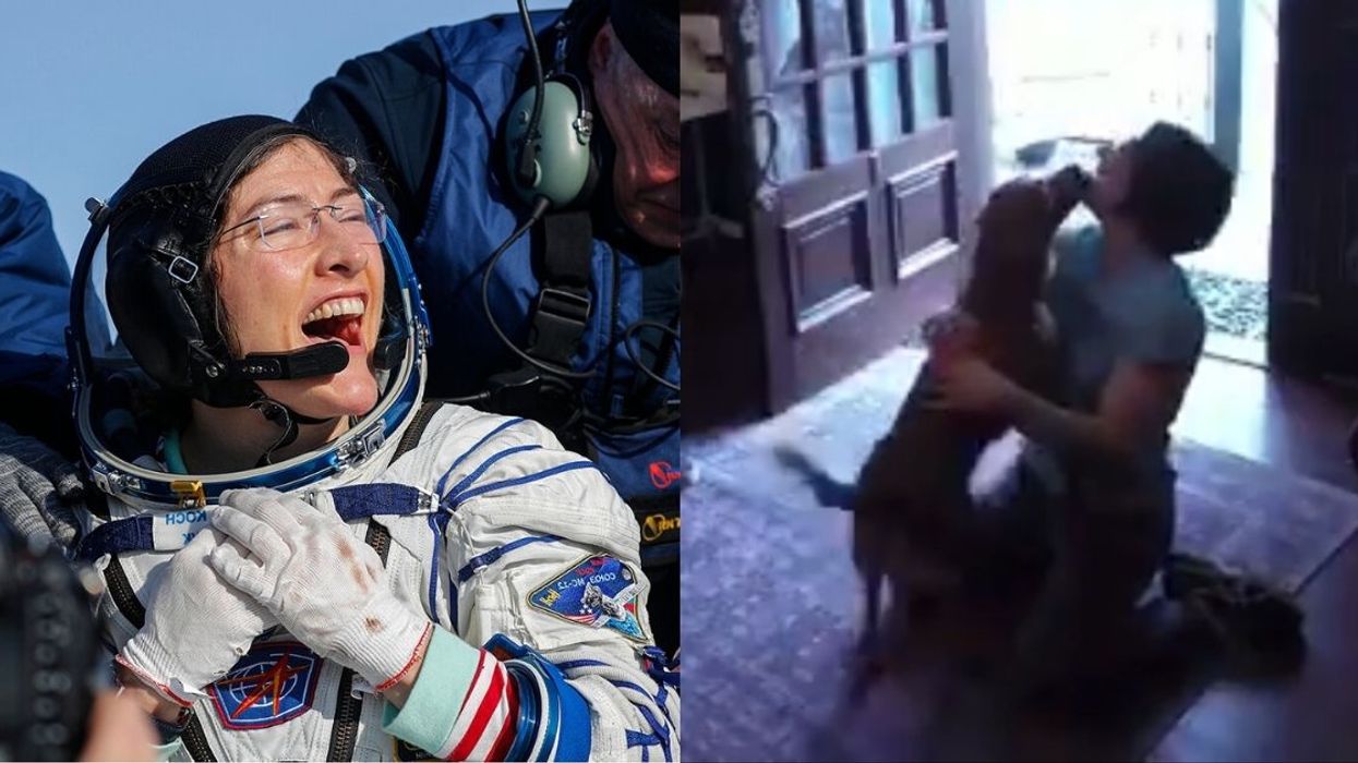 Astronaut Christina Koch Had An Adorable Reunion With Her Dog After Being In Space For 328 Days