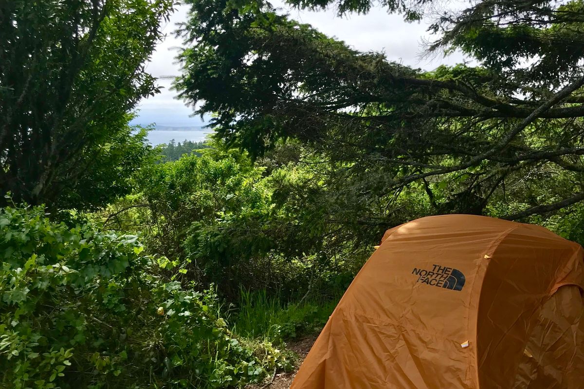 What to Know about Sky Campground, Point Reyes 7x7 Bay Area