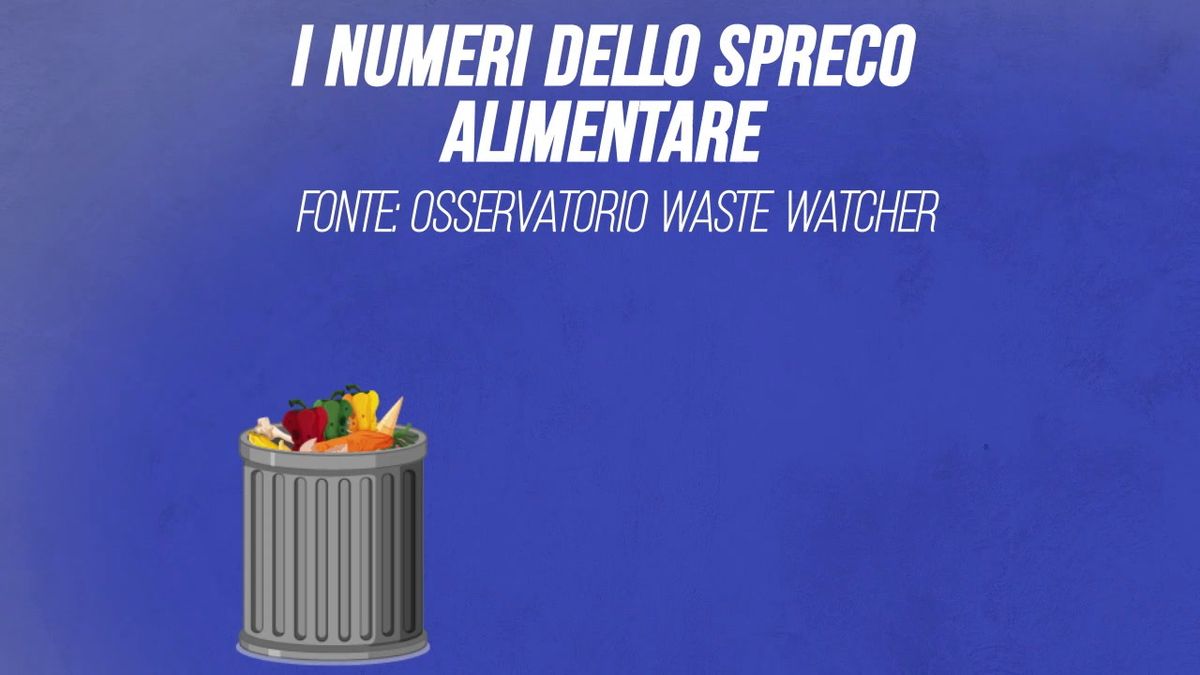 Spreco alimentare, in Italia nel 2019 è andato perso cibo per 11,5 miliardi