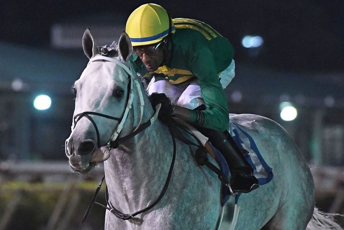 Sam Houston Race Park selections for Wednesday, Feb. 19