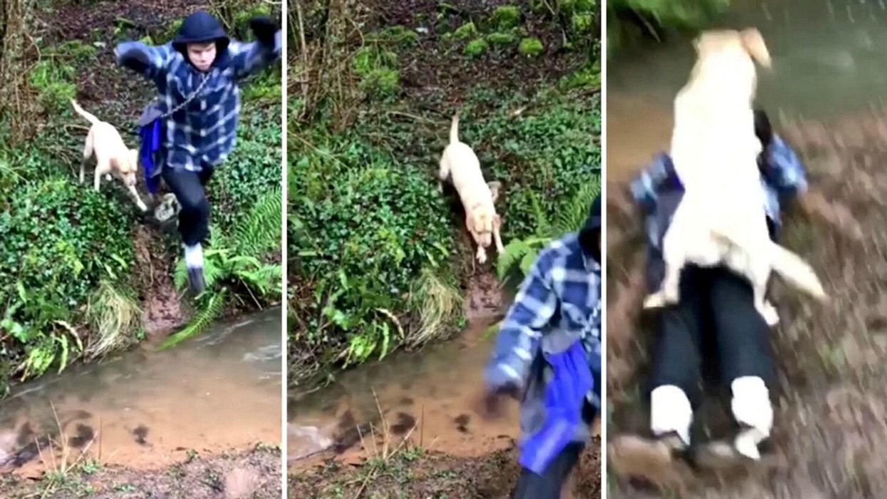 'Show-Off' Dog Owner Tries To Leap Over Flooded Path To One-Up His Girlfriend Only To End Up Flat On His Back In The Mud