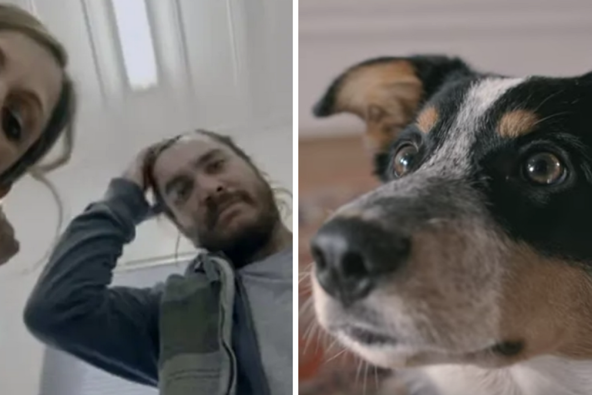 A 'quit smoking' ad that's all about our pets may be the most powerful PSA yet