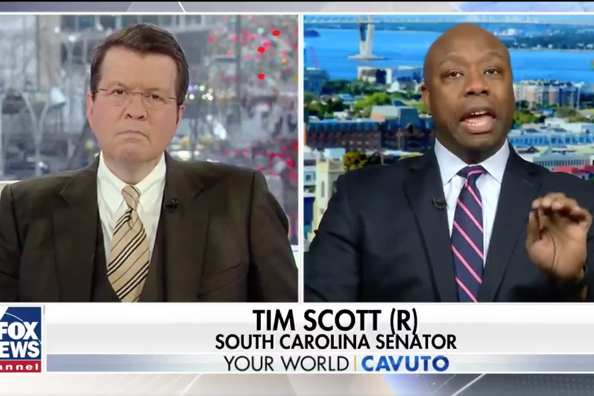 Tim Scott Predicts Clone Army Of Tim Scotts Voting For Trump