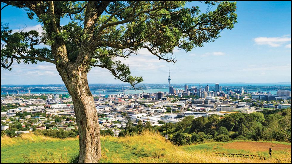 A view from a hilltop of the Auckland skyline.