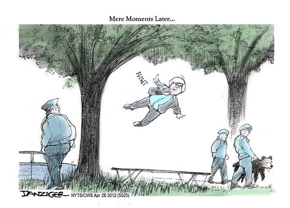A Bear Falls From A Tree