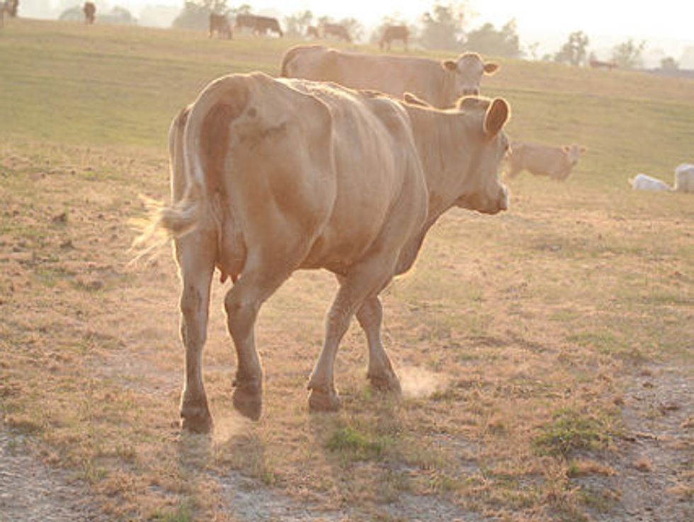 Is This Deadly Drought The Knife Edge Of Global Warming?