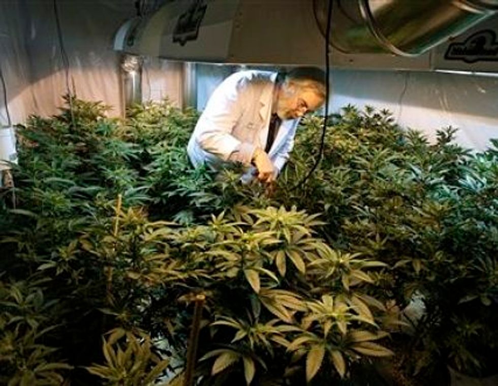 Michigan Supreme Court Declares Marijuana Dispensaries Illegal