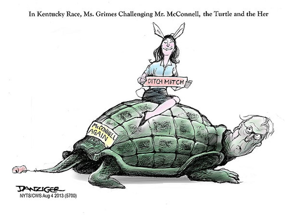 The Turtle And The Her