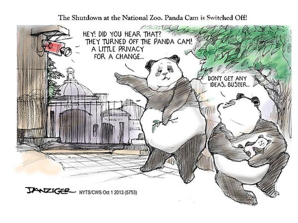 Shutdown Switches Off The National Zoo’s Panda Cam