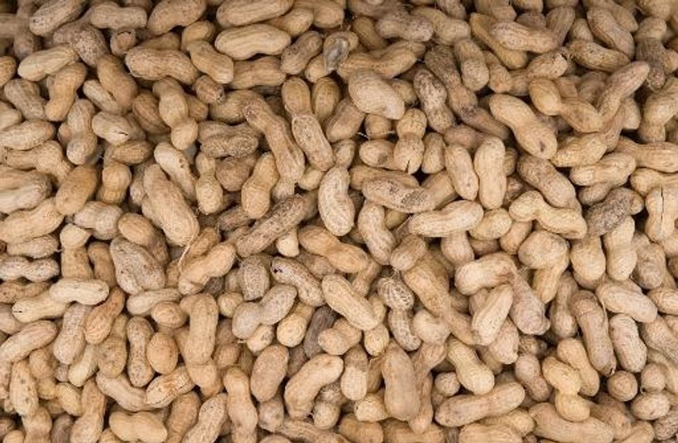 U.S. Study: No Need To Avoid Peanuts While Pregnant