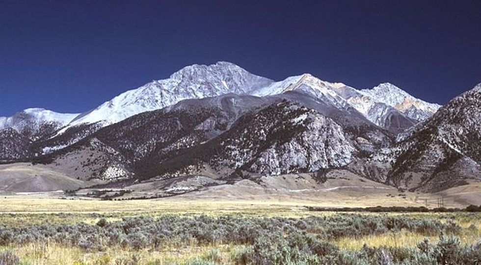 Study: Rockies’ Wildflower Season 35 Days Longer Because Of Climate Change