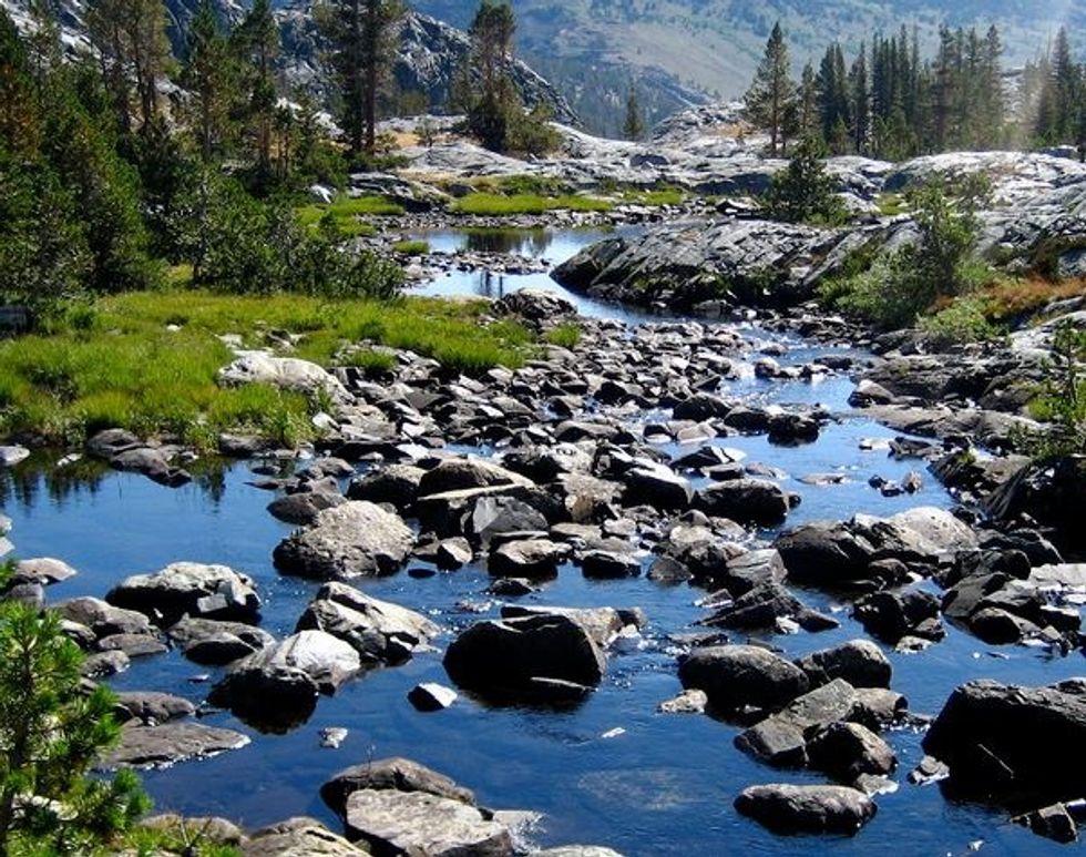 California’s San Joaquin River Is Most Endangered In U.S., Group Says