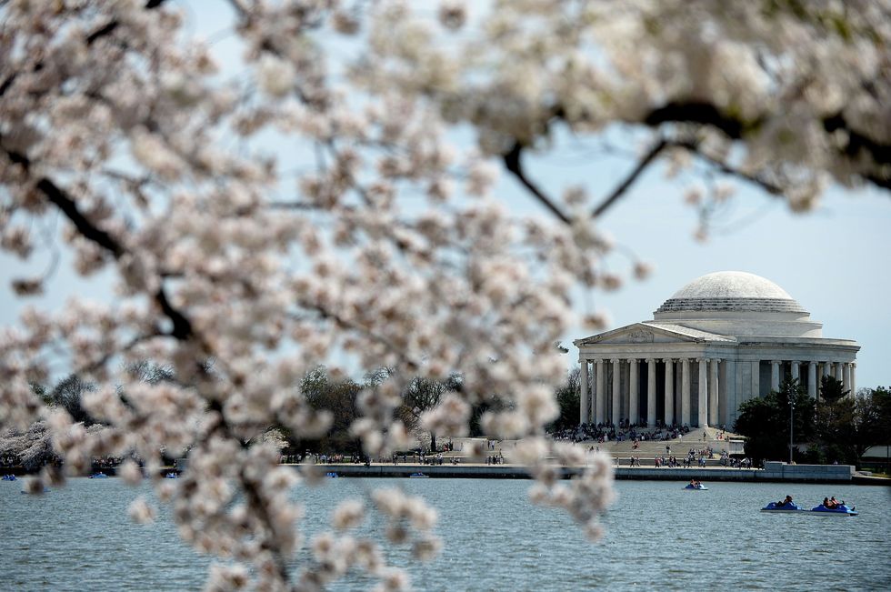 Washington Veteran Neil Eggleston Named As White House Counsel