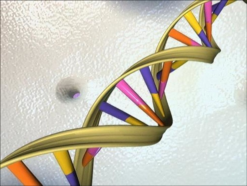 Study: Married Couples Have More DNA In Common Than Random Pairs Of People