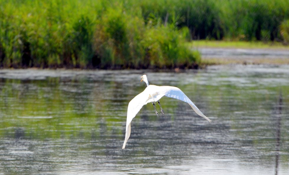 EPA Faces Backlash In Trying To Regulate Wetlands That Often Aren’t Wet